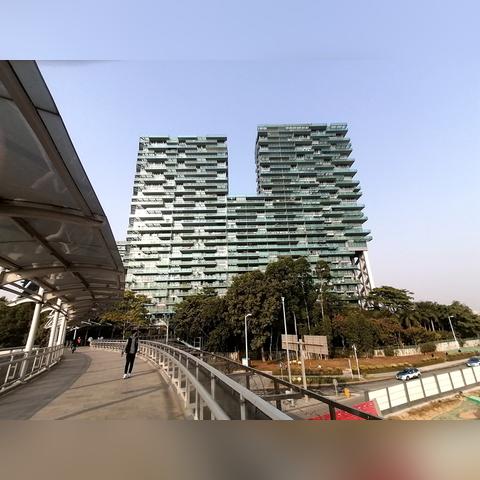 深圳市深圳湾学校怎么样