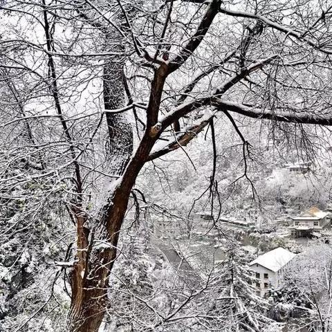 兰州哪有卖的玻璃？