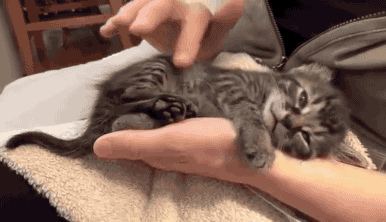 脚气真的会传染吗