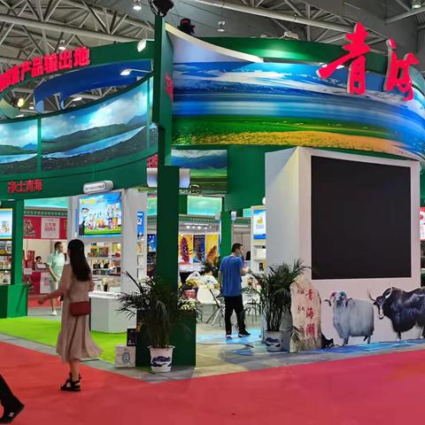 合肥市主城区海拔？