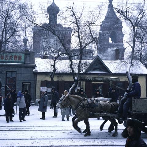 哈尔滨副食品批发市场相关长尾关键词有哪些