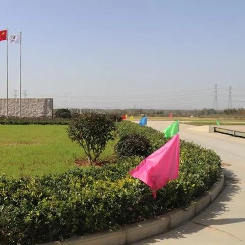 临沂市神农医院的长尾关键词有什么
