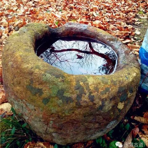 温州市寺庙最大在哪里