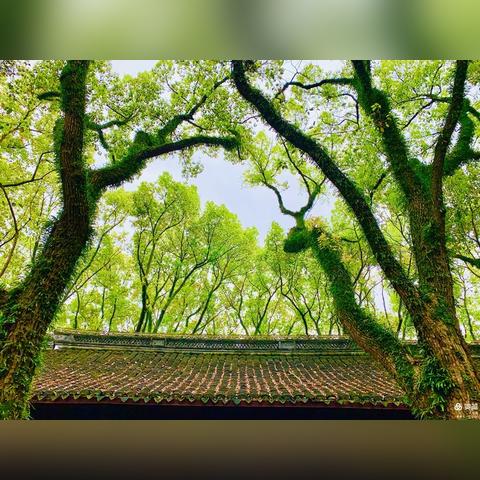 宁波外滩风景小区的相关长尾关键词有哪些