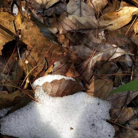 【桂林今日气温】2025年8月4日桂林气温是多少