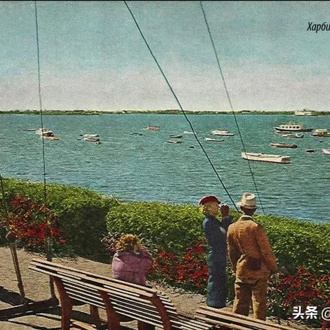 哈尔滨游泳群相关长尾关键词有哪些