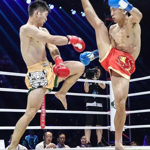 广东省佛山市高明区村庄的长尾关键词有什么