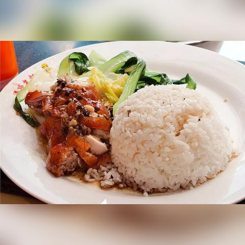 无锡市哪里可以买狗的