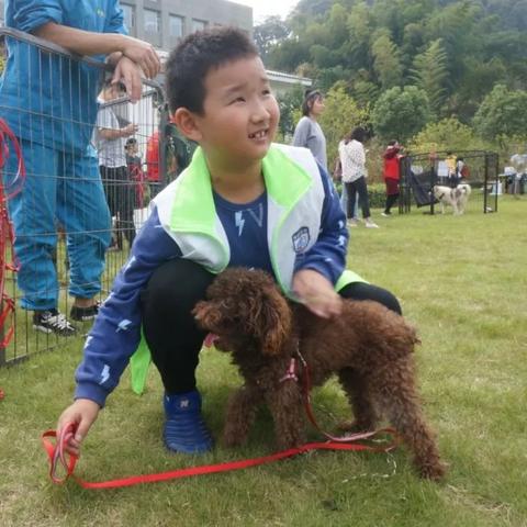 杭州不栓狗绳的相关长尾关键词有哪些