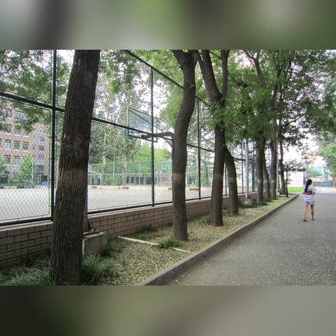 重庆北大附中怎么样