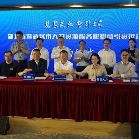 武汉市双高学院在哪个区
