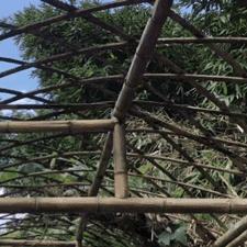 厦门市屋顶果园电话多少