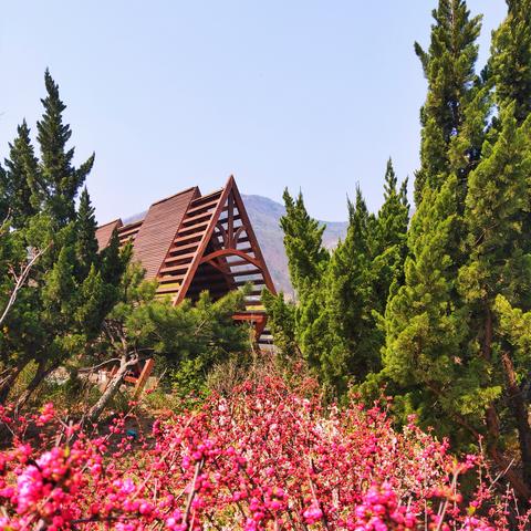 大连市几个公园叫什么