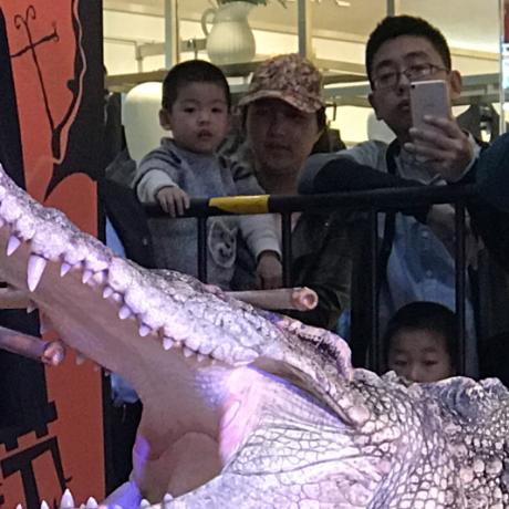 江苏省无锡市有鳄鱼吗吗的长尾关键词有什么