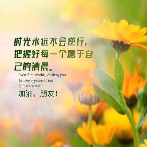 8月26号生肖运势如何(2021年8月26日十二生肖财运)