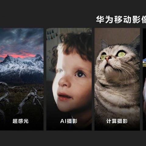 广州夕阳延时相关长尾关键词有哪些