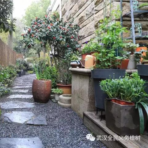 武汉市医院碎石怎么样