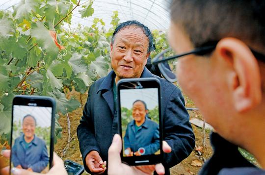 「定点扶贫调研行」大寨子村的葡萄熟了