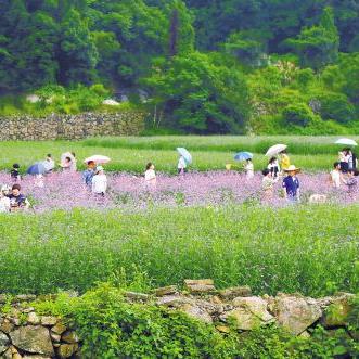 无锡市旅游社在哪里