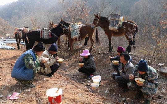 直击“骡马帮”夫妻的真实生活：密林深处干活，月收入4万元