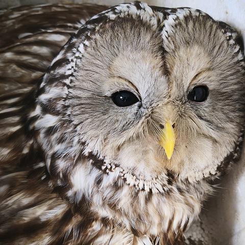 新市民网站的长尾关键词有什么