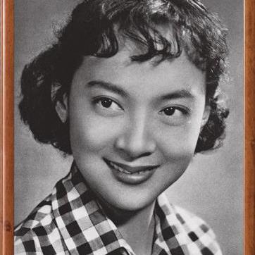 档案电影是什么