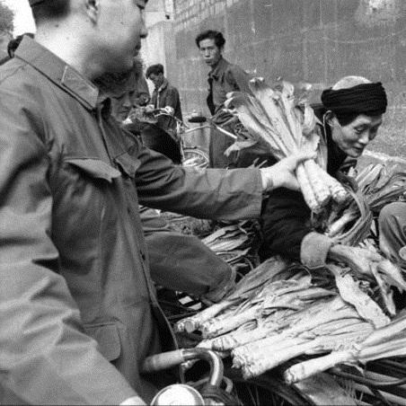 盘点在上海待了7年想回武汉相关关键词有哪些