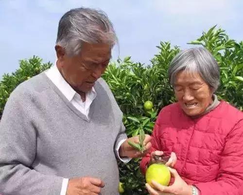 橙怎么起名男宝宝名字(我想取一个带悦字的公司名)
