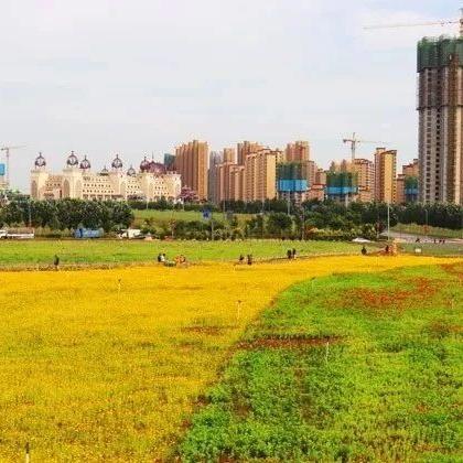 沈阳七彩风车节怎么样的相关长尾关键词有哪些