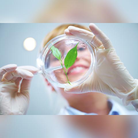 西安市慢病拿药报销怎么计算