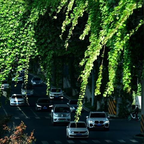 成都市二环便宜房价多少的长尾关键词有哪些