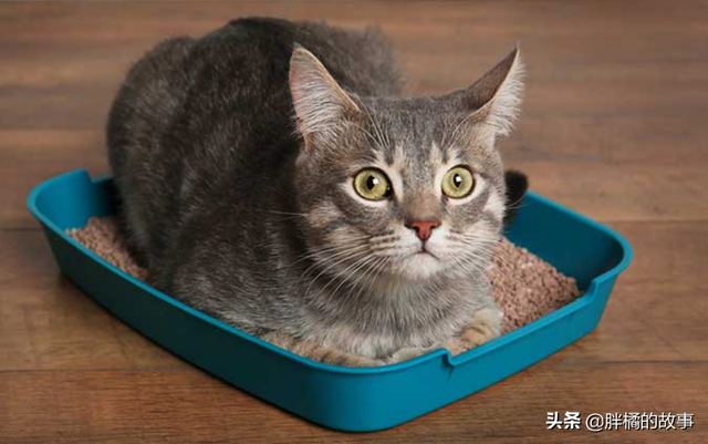 为什么婴儿的尿液发臭