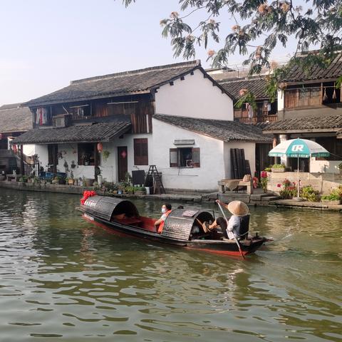 河南的奶茶怎么样