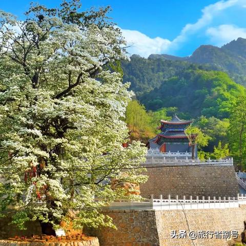 石家庄市安全印刷厂的长尾关键词有哪些