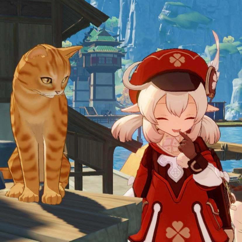 原神掉到水底的羽毛怎么拿(原神深渊迷雾怎么解除)