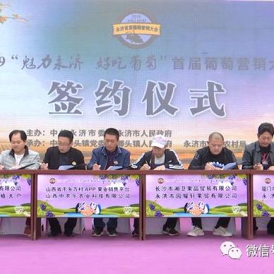 厦门市能种什么品种的果树
