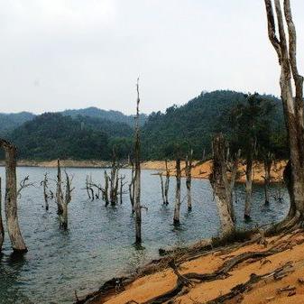 福建方圆达招聘的相关长尾关键词有哪些