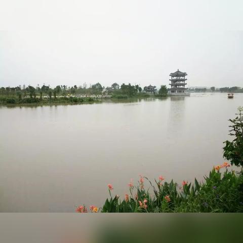 东莞市哪里有租车的