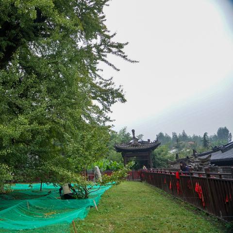 西安观光双层巴士怎么预约？
