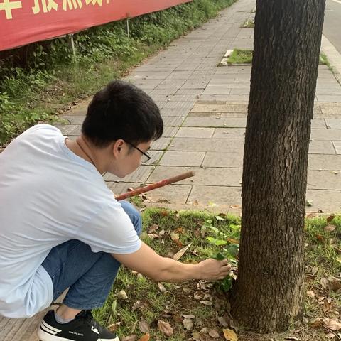 桂林市创文明城市有哪些