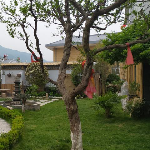 西安市三年级怎么入学读书