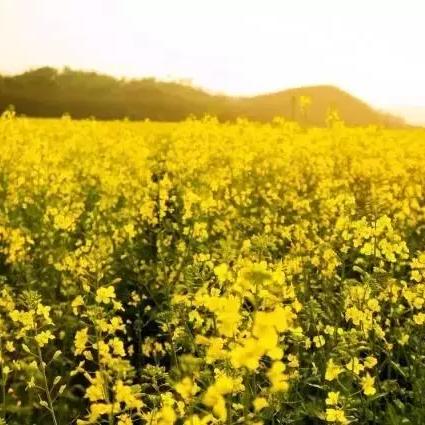 【天津西站客运站电话】相关长尾关键词有哪些