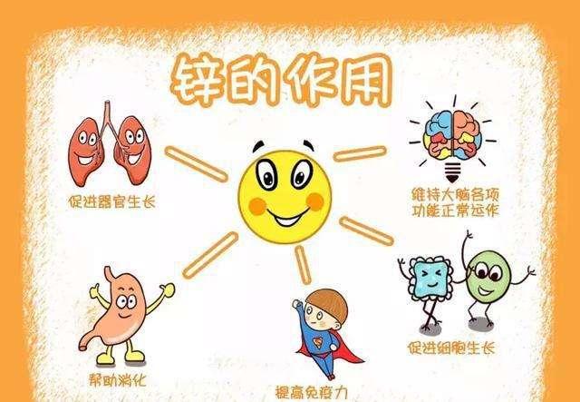 孩子身体上缺锌会有哪些表现