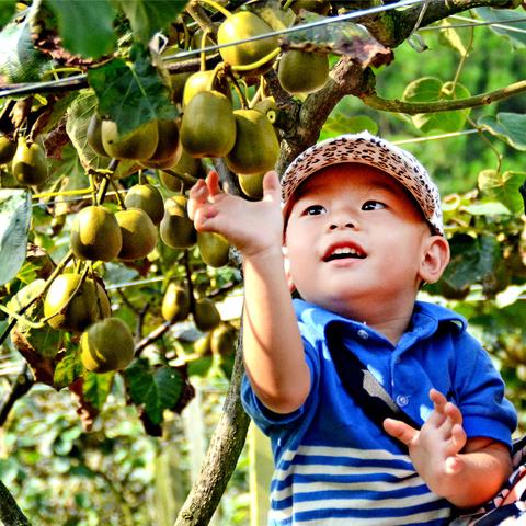 桂林市苹果回收地址在哪里