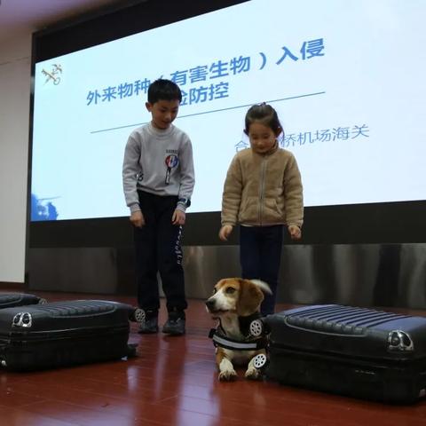 合肥市检疫局相关长尾关键词有哪些