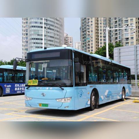 厦门brt 几点开始的相关长尾关键词有哪些