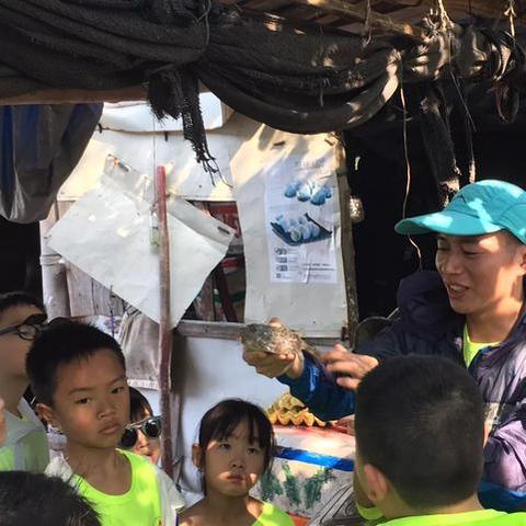 荒岛求生带系统txt下载的长尾关键词有什么