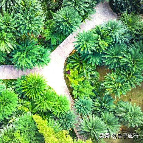 南宁恐龙谷好玩吗？