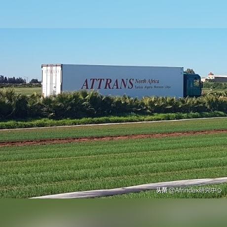 广州到非洲海运需要多少天，广州到摩洛哥海运费查询？