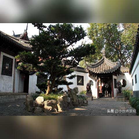 关于最初他生活在上海英文相关关键词有哪些